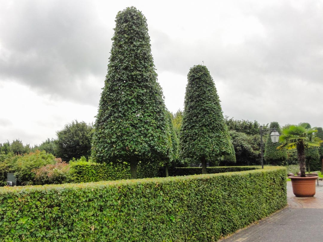 Topiary - alles im Schnitt
