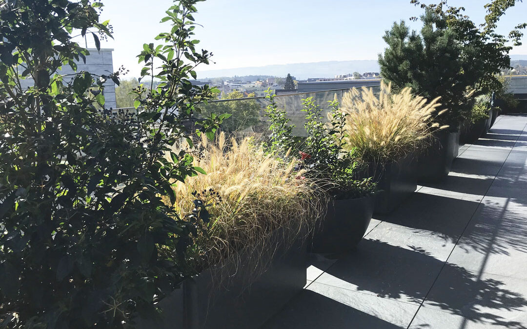Terrasengestaltung 2
